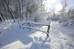 Winter im Hohen Venn